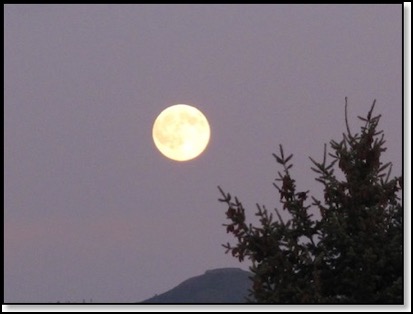 Berlin-moon-8-24-12