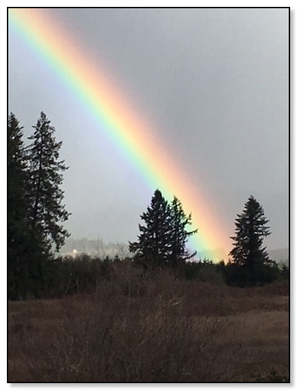 brilliant-rainbow-1-21-17