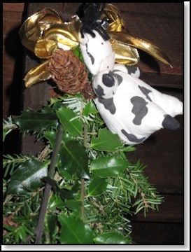 cow-swag-bottom-11-25-12