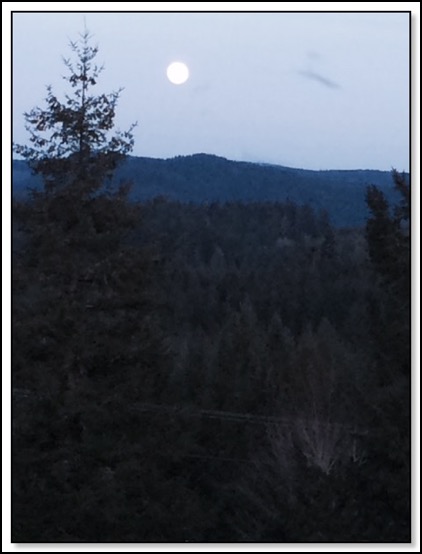 fullmoon-2-2-15