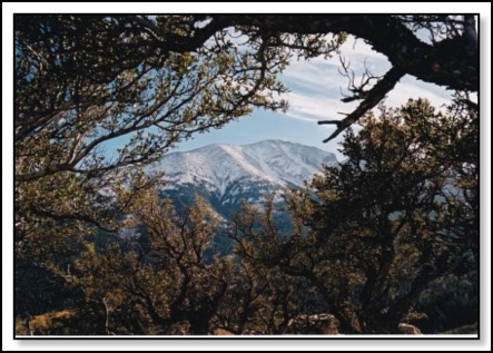 Great-basin-park-5-19-13