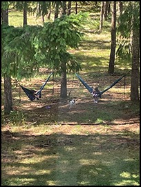 Hammocks small