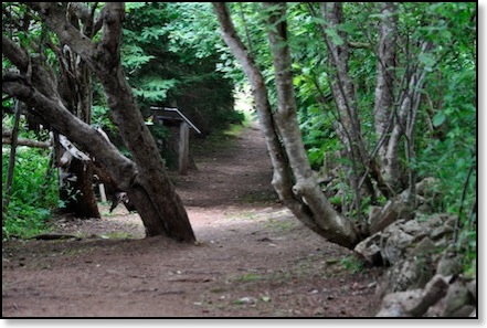 haunted-woods-trail-2-7-22-12