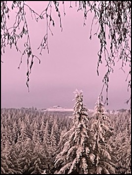 IMG_7686