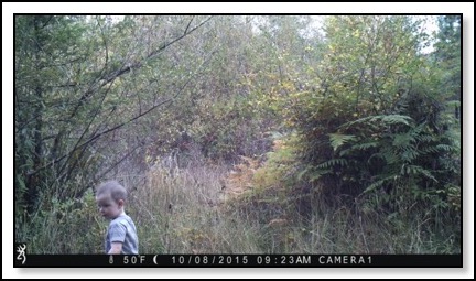 jungle-boy-10-10-15