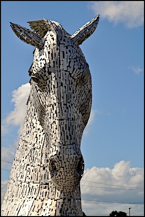 Kelpie Watching