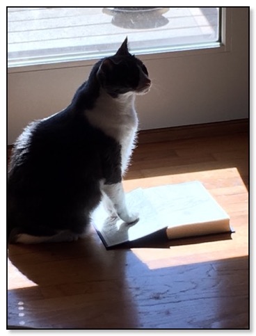 oscar-the-reader-6-12-16