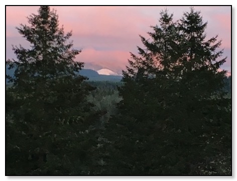 pink-sky-snow-1-11-17