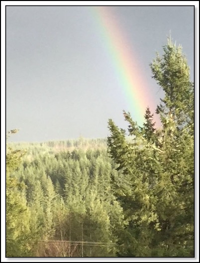 rainbow-1-18-15