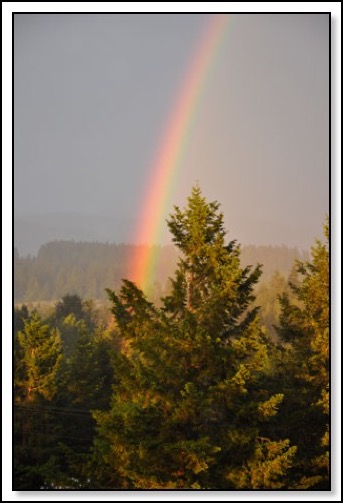 rainbow-5-2015 5-26-15