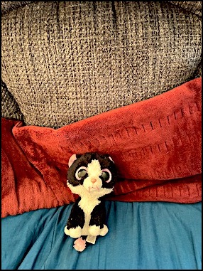 rested cat stuffy