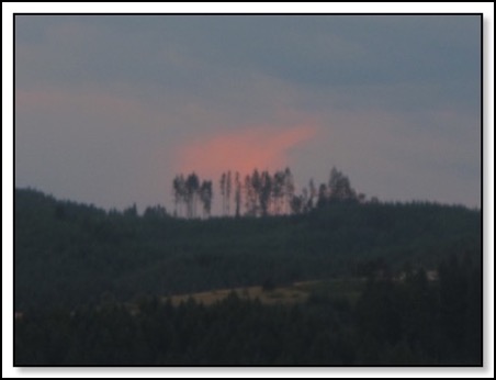 tree-glow top-8-8-13